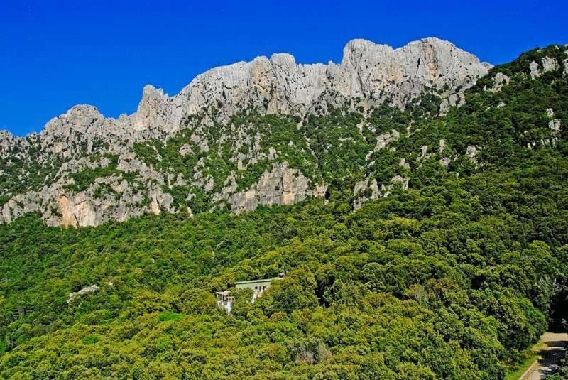 S'Enis Monte Maccione Hotell Oliena Eksteriør bilde