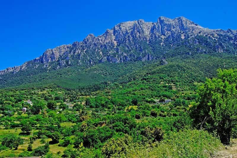 S'Enis Monte Maccione Hotell Oliena Eksteriør bilde